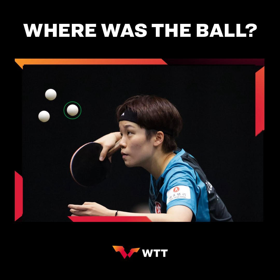 image  1 World Table Tennis - Did your discerning eyes discover which ball is the real deal